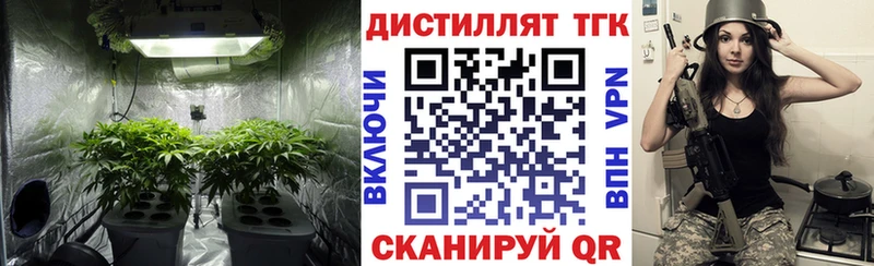ТГК концентрат  ссылка на мегу ССЫЛКА  Шелехов  купить наркотик 