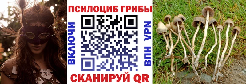Галлюциногенные грибы GOLDEN TEACHER  Шелехов 
